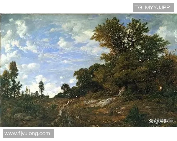 探索谢什科的历史与文化魅力揭示其在当代社会的影响与价值